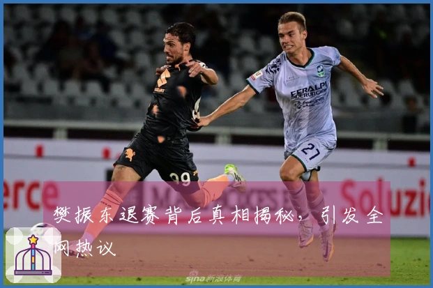 樊振东退赛背后真相揭秘，引发全网热议
