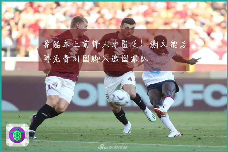 鲁能本土前锋人才匮乏！谢文能后再无青训国脚入选国家队