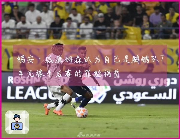 锡安·威廉姆森认为自己是鹈鹕队7年无缘季后赛的罪魁祸首