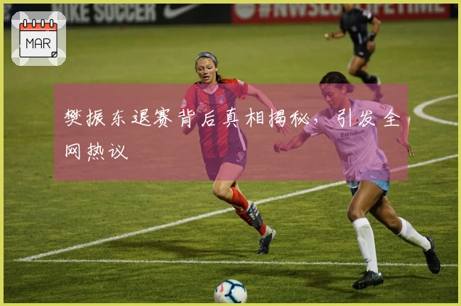 樊振东退赛背后真相揭秘，引发全网热议